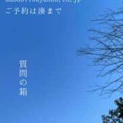 ヒメ日記 2025/04/08 01:52 投稿 湊かすみ ローテンブルク