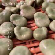 ヒメ日記 2025/04/08 03:09 投稿 湊かすみ ローテンブルク