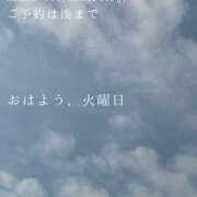 ヒメ日記 2025/04/08 09:43 投稿 湊かすみ ローテンブルク