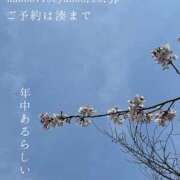 ヒメ日記 2025/04/09 07:00 投稿 湊かすみ ローテンブルク