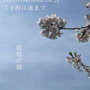 ヒメ日記 2025/04/09 07:06 投稿 湊かすみ ローテンブルク