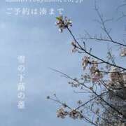 ヒメ日記 2025/04/10 08:53 投稿 湊かすみ ローテンブルク