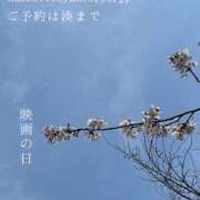ヒメ日記 2025/04/12 00:17 投稿 湊かすみ ローテンブルク