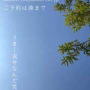 ヒメ日記 2025/04/13 19:04 投稿 湊かすみ ローテンブルク