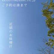 ヒメ日記 2025/04/14 20:36 投稿 湊かすみ ローテンブルク