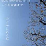 ヒメ日記 2025/04/15 23:34 投稿 湊かすみ ローテンブルク
