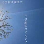 ヒメ日記 2025/04/17 00:30 投稿 湊かすみ ローテンブルク