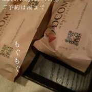 ヒメ日記 2025/04/20 08:51 投稿 湊かすみ ローテンブルク