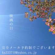 ヒメ日記 2025/04/20 08:58 投稿 湊かすみ ローテンブルク