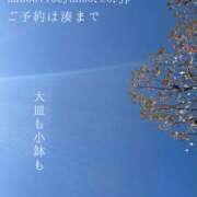 ヒメ日記 2025/04/20 09:32 投稿 湊かすみ ローテンブルク