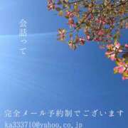 ヒメ日記 2025/04/21 05:48 投稿 湊かすみ ローテンブルク