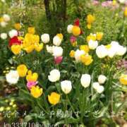 ヒメ日記 2025/04/21 06:36 投稿 湊かすみ ローテンブルク