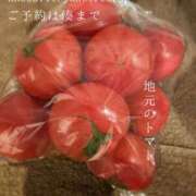 ヒメ日記 2025/04/22 07:04 投稿 湊かすみ ローテンブルク