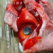 ヒメ日記 2025/04/22 07:29 投稿 湊かすみ ローテンブルク