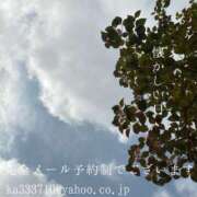 ヒメ日記 2025/04/23 07:34 投稿 湊かすみ ローテンブルク