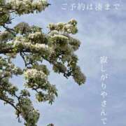 ヒメ日記 2025/04/25 01:30 投稿 湊かすみ ローテンブルク