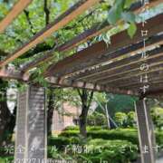 ヒメ日記 2025/04/25 02:17 投稿 湊かすみ ローテンブルク