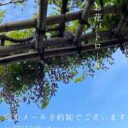 ヒメ日記 2025/04/29 09:28 投稿 湊かすみ ローテンブルク