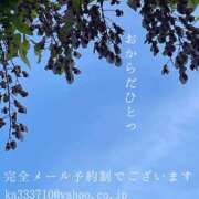 ヒメ日記 2025/04/30 07:14 投稿 湊かすみ ローテンブルク