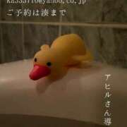 ヒメ日記 2025/05/02 08:50 投稿 湊かすみ ローテンブルク