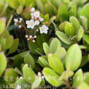 ヒメ日記 2025/05/04 08:48 投稿 湊かすみ ローテンブルク