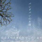 ヒメ日記 2025/05/05 08:10 投稿 湊かすみ ローテンブルク