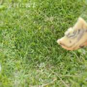 ヒメ日記 2025/05/05 08:18 投稿 湊かすみ ローテンブルク