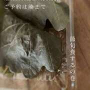 ヒメ日記 2025/05/06 07:58 投稿 湊かすみ ローテンブルク