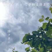 ヒメ日記 2025/05/07 07:31 投稿 湊かすみ ローテンブルク