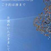 ヒメ日記 2025/05/08 21:42 投稿 湊かすみ ローテンブルク