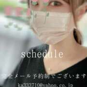 ヒメ日記 2025/05/09 07:20 投稿 湊かすみ ローテンブルク