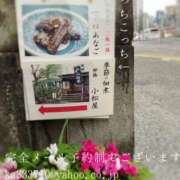 ヒメ日記 2025/05/09 08:35 投稿 湊かすみ ローテンブルク