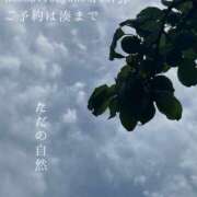 ヒメ日記 2025/05/09 08:50 投稿 湊かすみ ローテンブルク