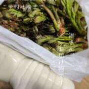 ヒメ日記 2025/05/14 09:19 投稿 湊かすみ ローテンブルク