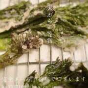 ヒメ日記 2025/05/20 00:14 投稿 湊かすみ ローテンブルク