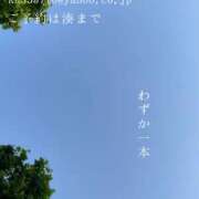 ヒメ日記 2025/05/23 07:59 投稿 湊かすみ ローテンブルク