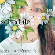 ヒメ日記 2025/05/25 00:02 投稿 湊かすみ ローテンブルク