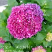 ヒメ日記 2025/06/03 08:28 投稿 湊かすみ ローテンブルク