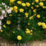 ヒメ日記 2025/06/05 19:05 投稿 湊かすみ ローテンブルク