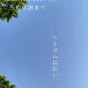 ヒメ日記 2025/06/06 07:27 投稿 湊かすみ ローテンブルク