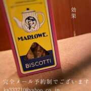 ヒメ日記 2025/06/18 09:15 投稿 湊かすみ ローテンブルク