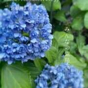 ヒメ日記 2025/06/19 07:50 投稿 湊かすみ ローテンブルク