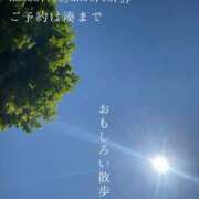 ヒメ日記 2025/06/22 07:08 投稿 湊かすみ ローテンブルク