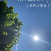 ヒメ日記 2025/06/23 08:27 投稿 湊かすみ ローテンブルク