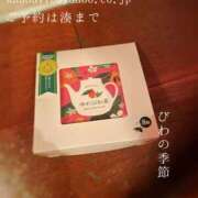 ヒメ日記 2025/06/24 08:15 投稿 湊かすみ ローテンブルク