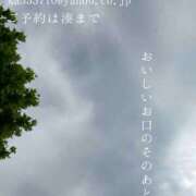 ヒメ日記 2025/06/24 08:45 投稿 湊かすみ ローテンブルク
