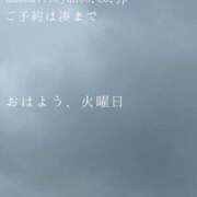 ヒメ日記 2025/06/24 09:46 投稿 湊かすみ ローテンブルク