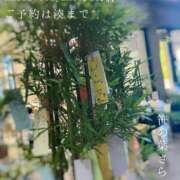 ヒメ日記 2025/07/02 08:54 投稿 湊かすみ ローテンブルク