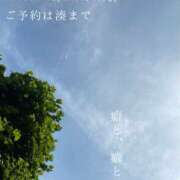 ヒメ日記 2025/07/05 08:07 投稿 湊かすみ ローテンブルク