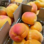 ヒメ日記 2025/07/05 08:40 投稿 湊かすみ ローテンブルク